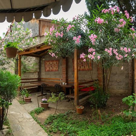 Valeria Hotel تبليسي المظهر الخارجي الصورة